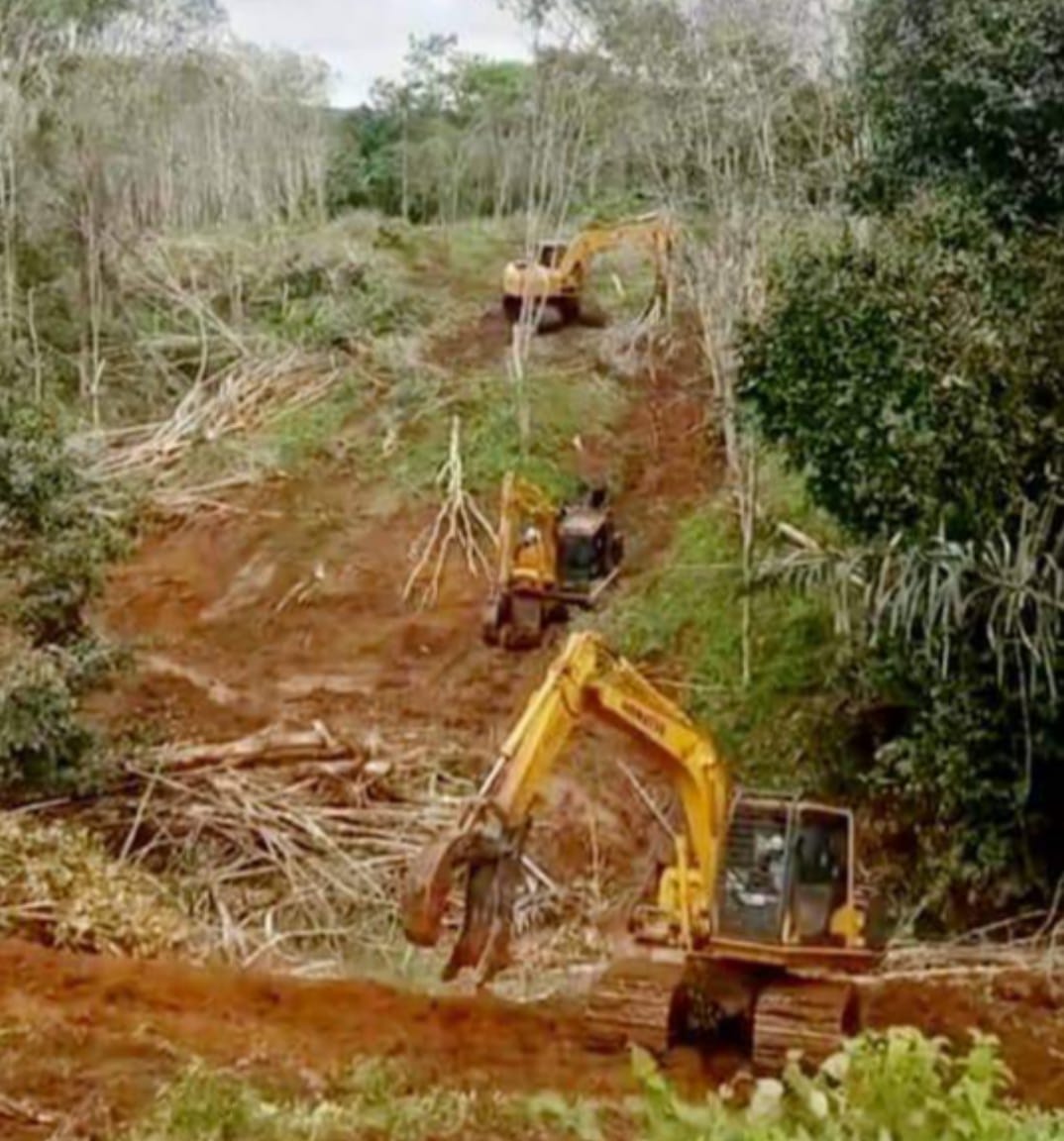 Lahan kebun karet di Desa Sanggapati, Kecamatan Angkola Timur, rata dengan tanah diluluh lantakkan TPL