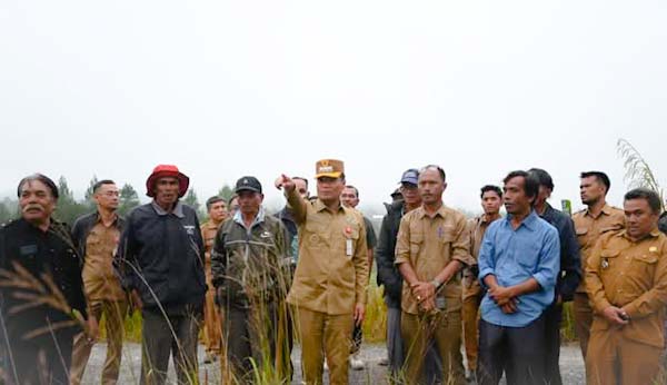 Bupati Humbang Hasundutan Oloan Paniaran Nababan saat meninjau lokasi rencana pembangunan Unit Sekolah Baru dan Puskesmas Pembantu, di Siborboron Sijamapolang.
